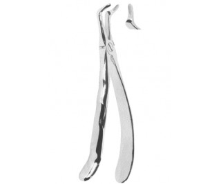 Extracting Forceps With Anatomically Shaped Handle